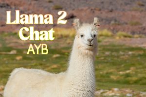 Llama 2 Chat AYB LLM