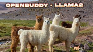 OpenBuddy Llama2 v13.2